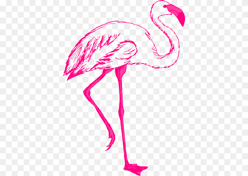 414x597 Drawing Flamingos Flamingo Background Clip Art, Animal, Bird, Appliance, Blow Dryer Clipart PNG