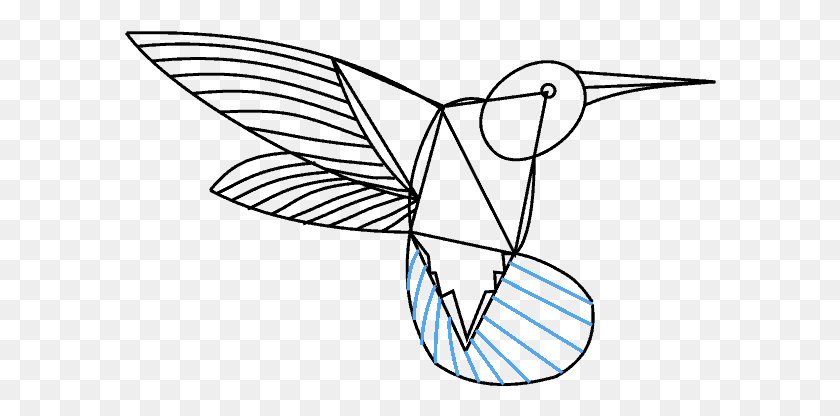 592x356 Drawing Flower Hummingbird Hummingbird Step By Step Drawing, Text, Logo, Symbol HD PNG Download