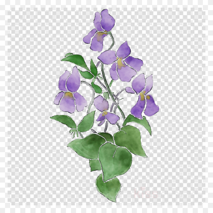 900x900 Drawing Flower Plant Transparent Image Clipart Clip Art, Pattern, Blossom, Floral Design HD PNG Download