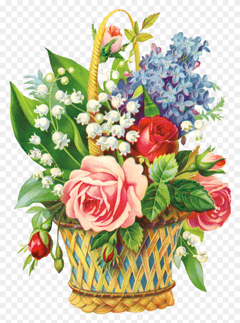 909x1249 Drawing Flower Vintage Bouquet, Graphics, Floral Design HD PNG Download