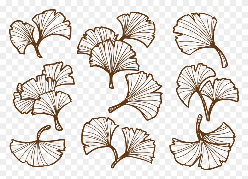 1180x831 Drawing Ginkgo Leaf, Plant, Fungus, Agaric HD PNG Download
