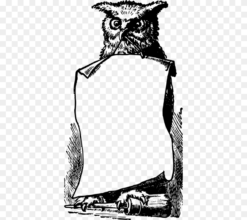 Drawing Harry Potter Owl Pictures, Gray Clipart PNG