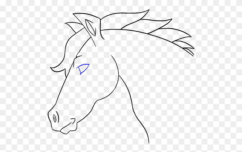 511x466 Drawing Horse Head Horse, Outdoors, Nature, Face HD PNG Download