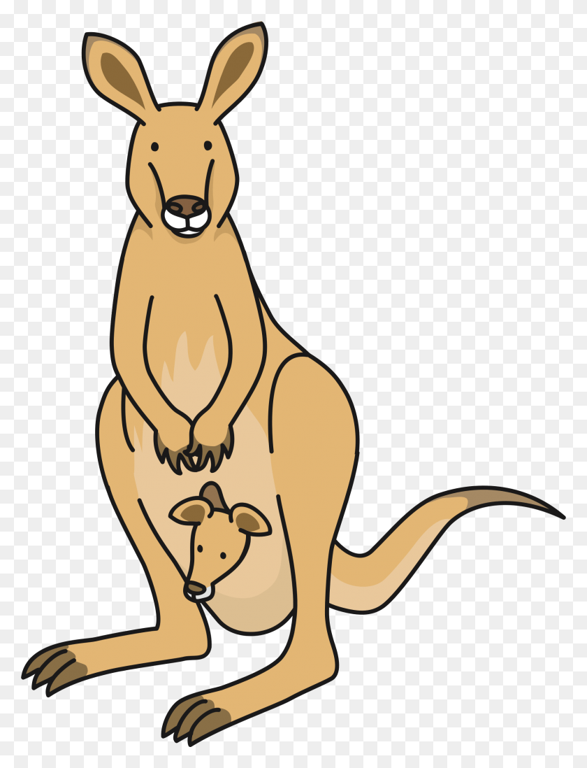 1802x2399 Drawing Kangaroos Diagram For On Clip Art Kangaroo, Mammal, Animal, Wallaby HD PNG Download