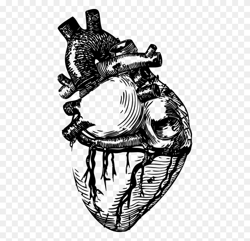 453x749 Drawing Line Art Heart Anatomy Realistic Heart Line Art, Gray, World Of Warcraft HD PNG Download