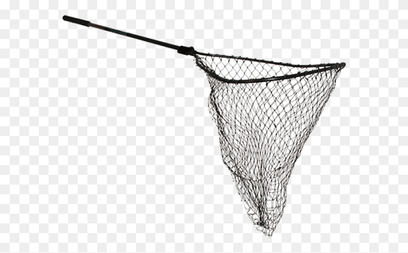 585x461 Drawing Net Fishing Drawing Of Fishing Net, Bird, Animal, Outdoors HD PNG Download