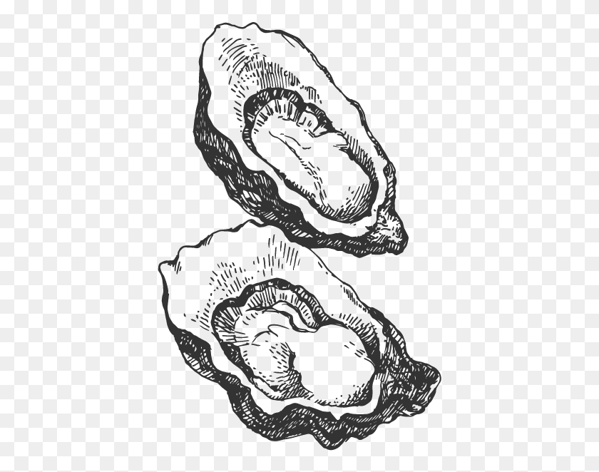 399x602 Drawing Of An Oyster, Hand, Stencil HD PNG Download