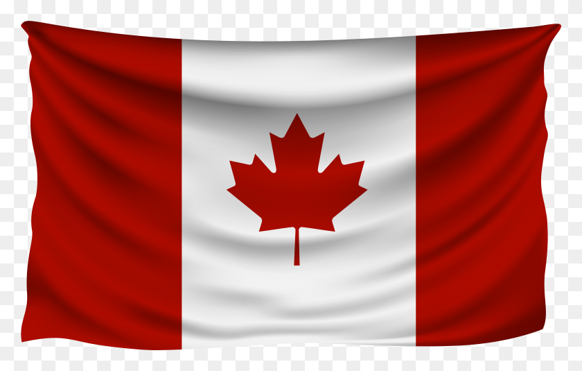 7900x4818 Drawing Of Canadian Flag, Leaf, Plant, Tree HD PNG Download