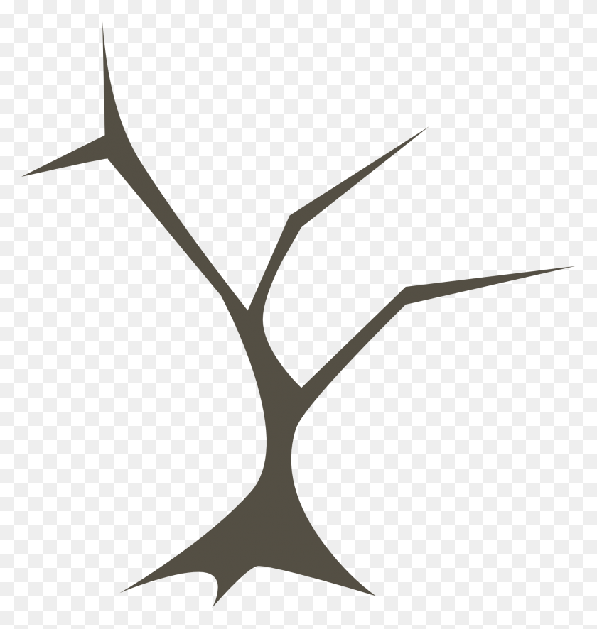 1811x1920 Drawing Of Sharp Tree Branches Without Leaves, Stencil, Plant, Symbol HD PNG Download