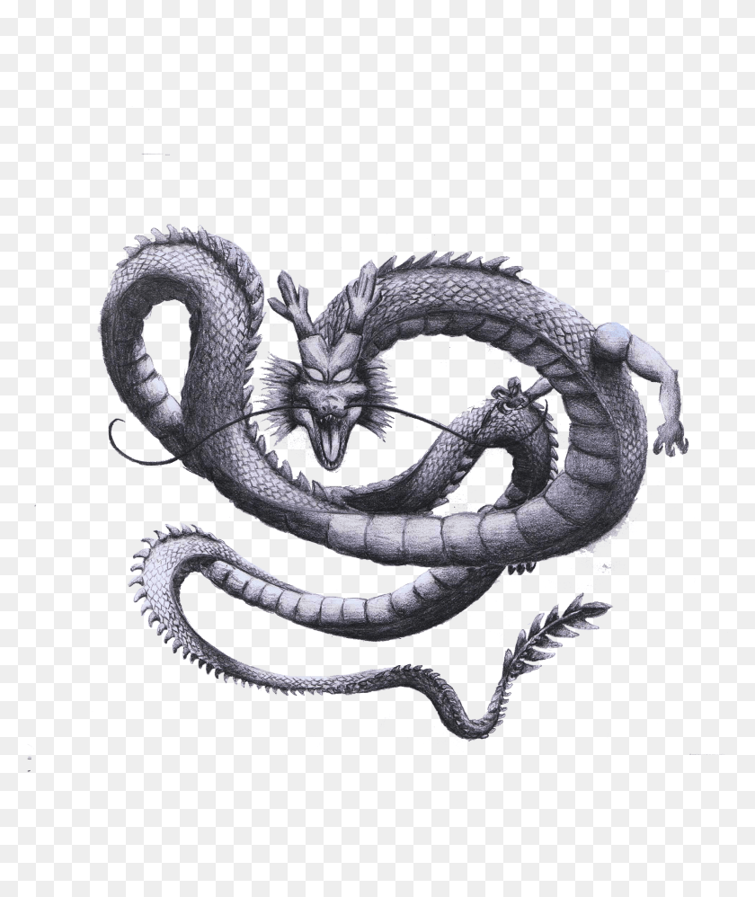 1970x2370 Drawing Of Shenron With A Transparent Background Serpent, Snake, Reptile, Animal HD PNG Download