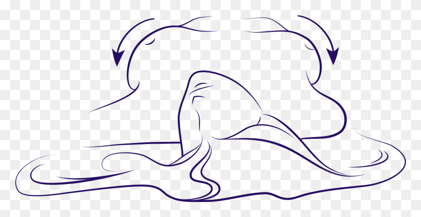 1477x710 Drawing Position Lying Breasts While Lying On Back, Graphics, Animal Descargar Hd Png