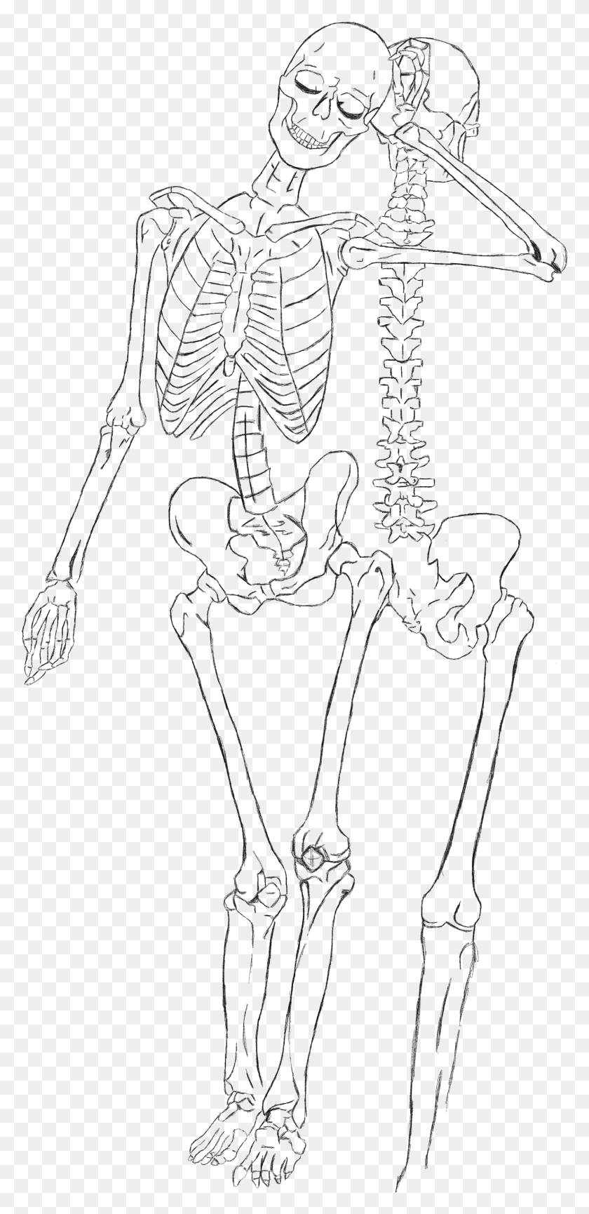 1498x3209 Dibujo De Esqueleto Brazo Pierna Arte De Línea, Estatua, Escultura Hd Png
