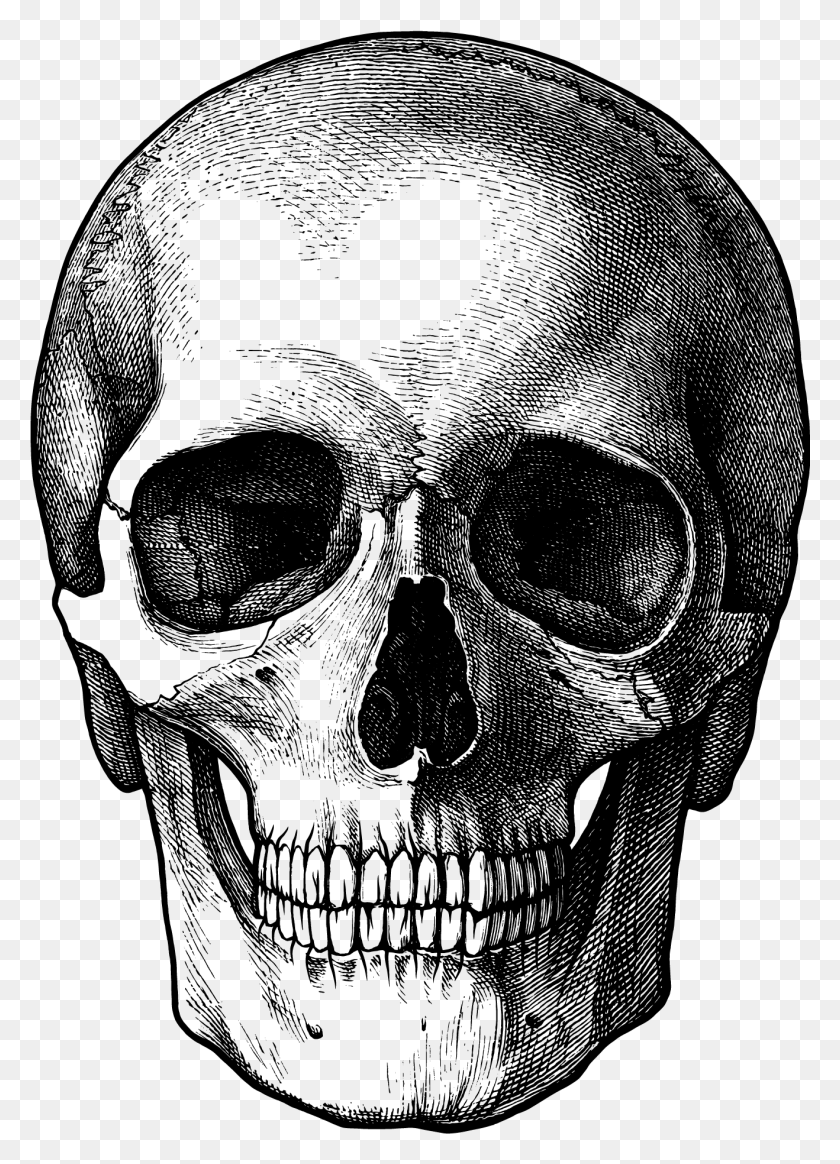 1318x1867 Cráneo Png / Dibujo De Cráneo Png