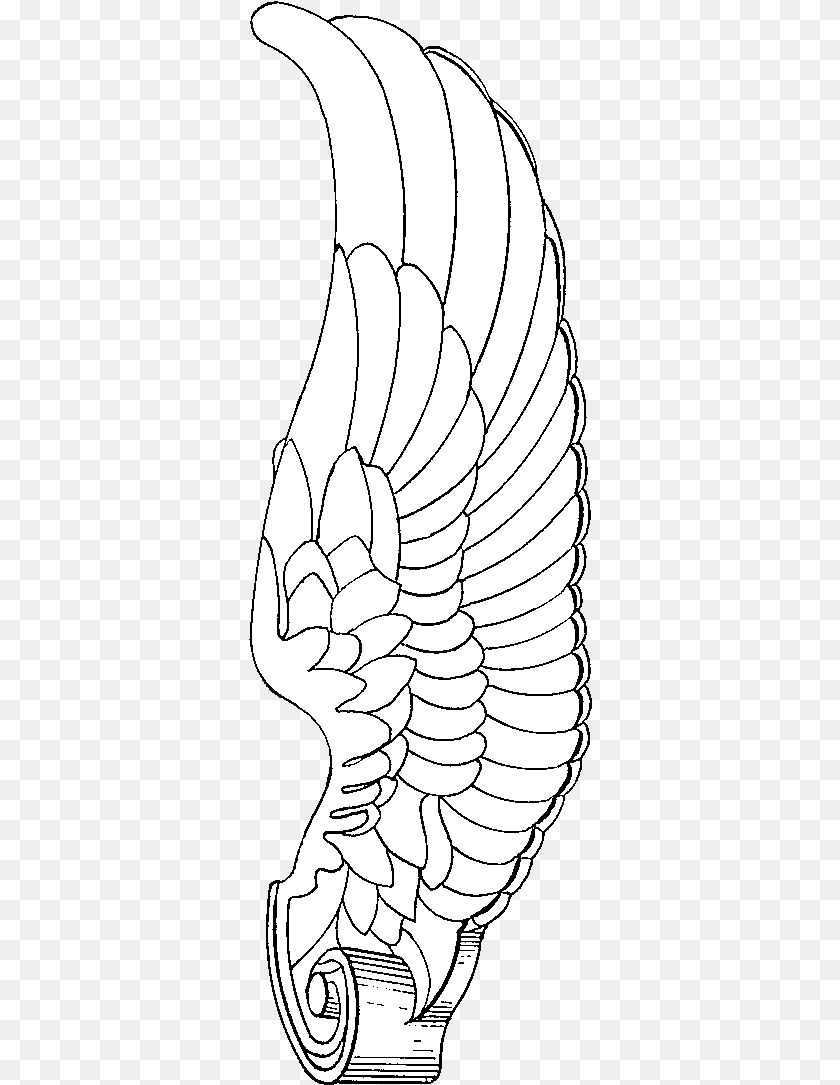 Drawing Steampunk Brain Line Art, Animal, Invertebrate, Sea Life, Seashell Transparent PNG