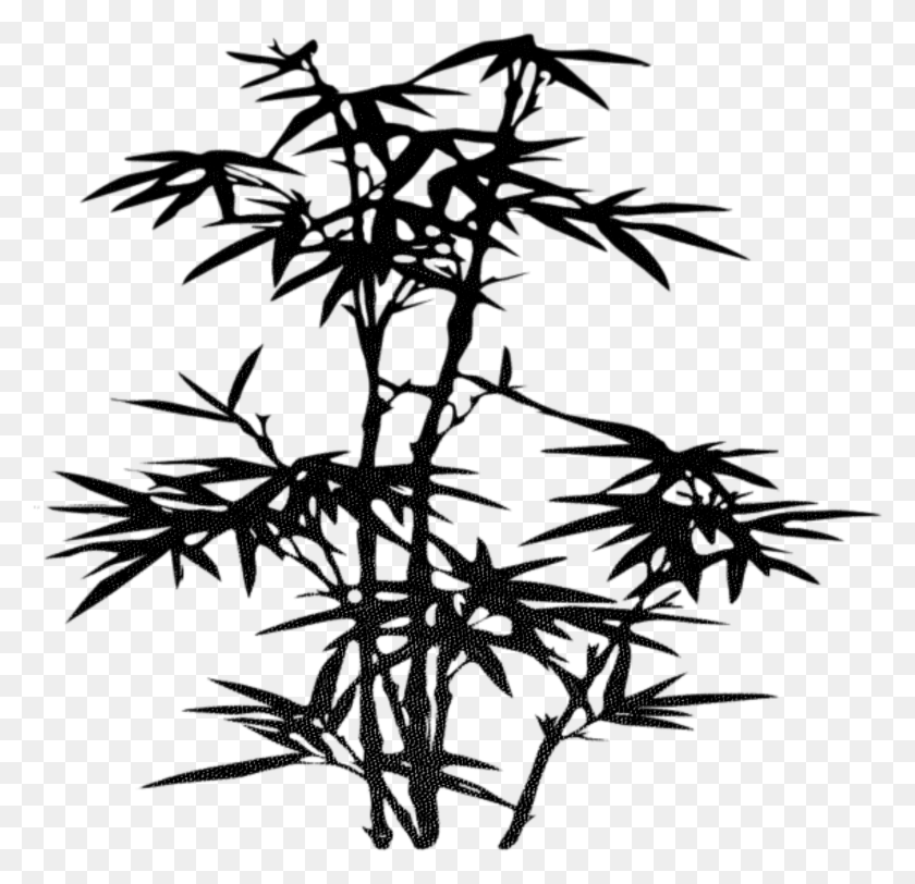 1775x1712 Drawing Tree Clip Art Zen Antiquity Transprent Bamboo Leaves Silhouette, Plant, Nature, Outdoors HD PNG Download