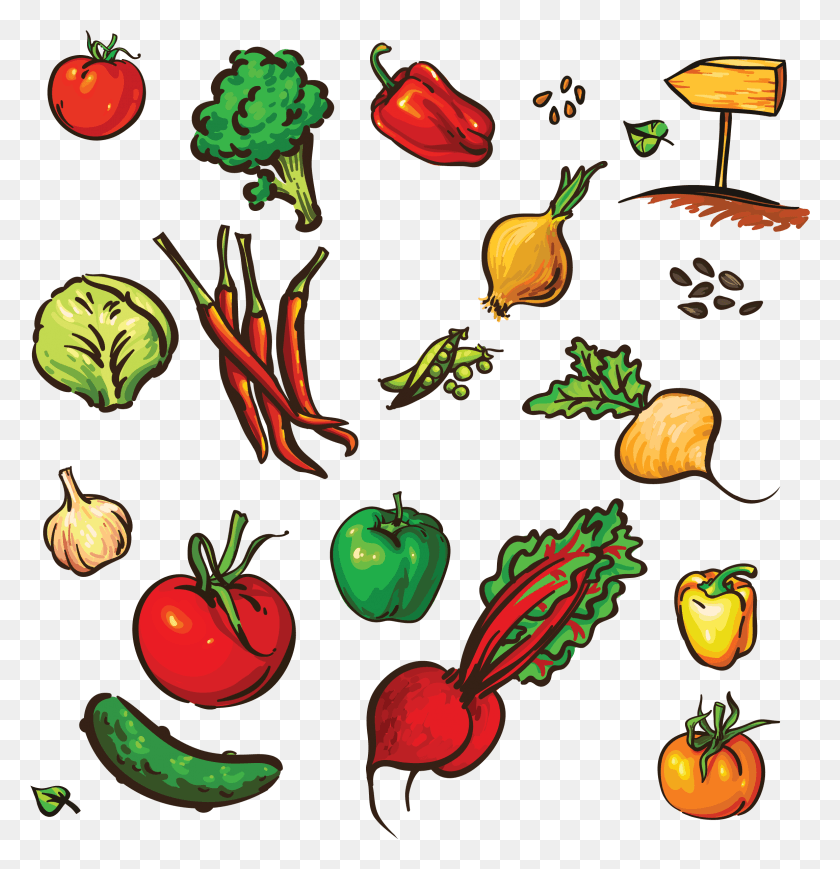 2310x2396 Drawing Vegetables Group Vegetable, Plant, Graphics HD PNG Download
