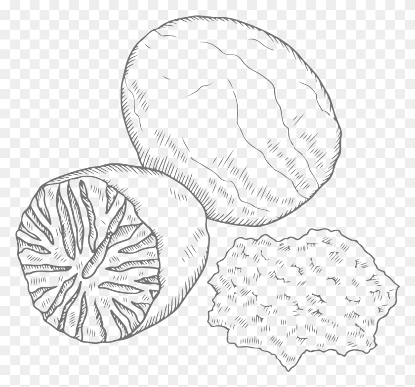 970x901 Drawing Vegetables Spice Drawing, Plant, Fruit, Food HD PNG Download