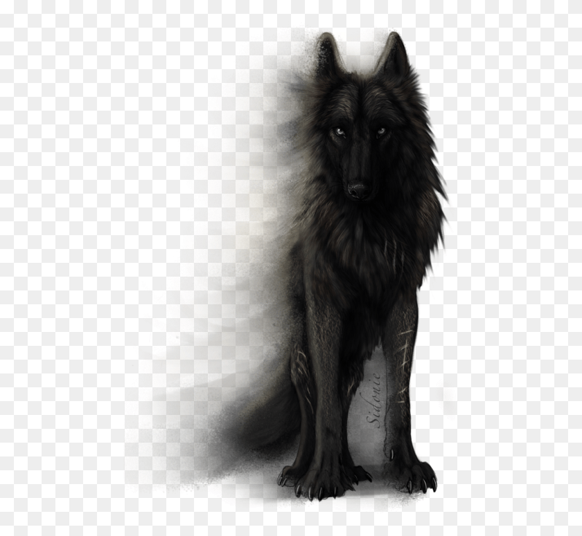 485x715 Рисунок Волка Черный Аниме, Млекопитающее, Животное, Домашнее Животное Hd Png Скачать