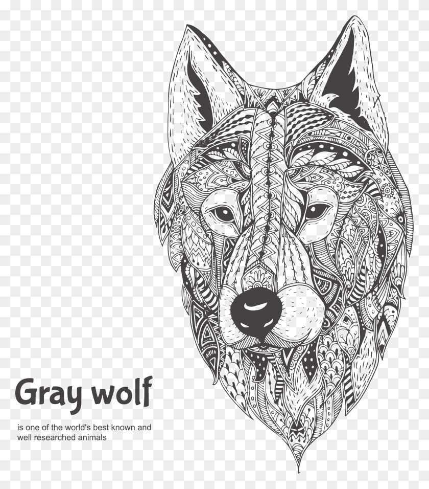 3187x3665 Drawing Wolf Face Dibujos De Lobos Su Cara, Mammal, Animal, Red Wolf HD PNG Download