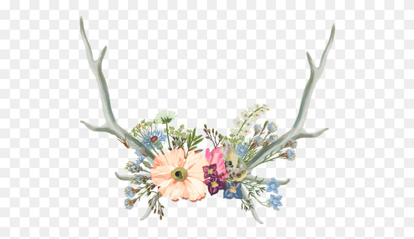 522x424 Drawn Antler Aesthetic Aesthetic Flower Tumblr Drawing, Plant, Blossom, Floral Design Descargar Hd Png