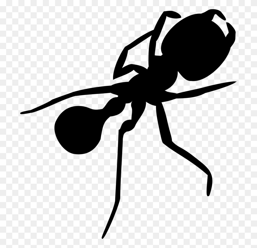708x750 Drawn Ants Transparent Silhouette Ant, Gray, World Of Warcraft HD PNG Download