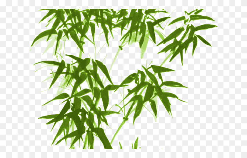 640x480 Нарисованный Бамбук Зеленый Бамбук Tranh Ve Cay Tre, Растение, Лист, Дерево Hd Png Скачать
