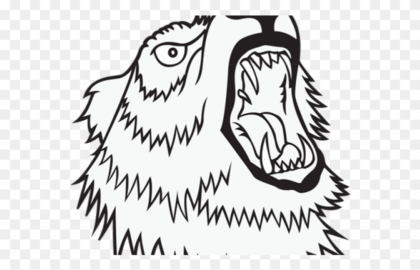 562x481 Нарисованный Медведь Дикий Медведь Иллюстрация, Каракули Hd Png Скачать