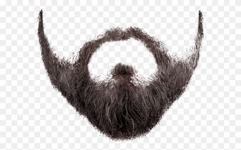 590x464 Drawn Beard Picsart Moustache, Face, Bird, Animal HD PNG Download