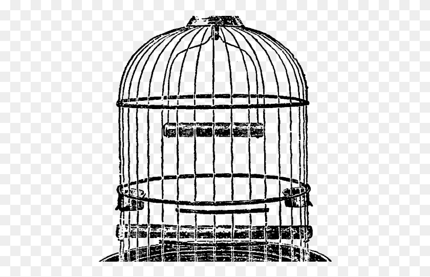 457x481 Drawn Birdcage Cage Illustration Vintage Bird Cage Illustration, Architecture, Building, Dome HD PNG Download