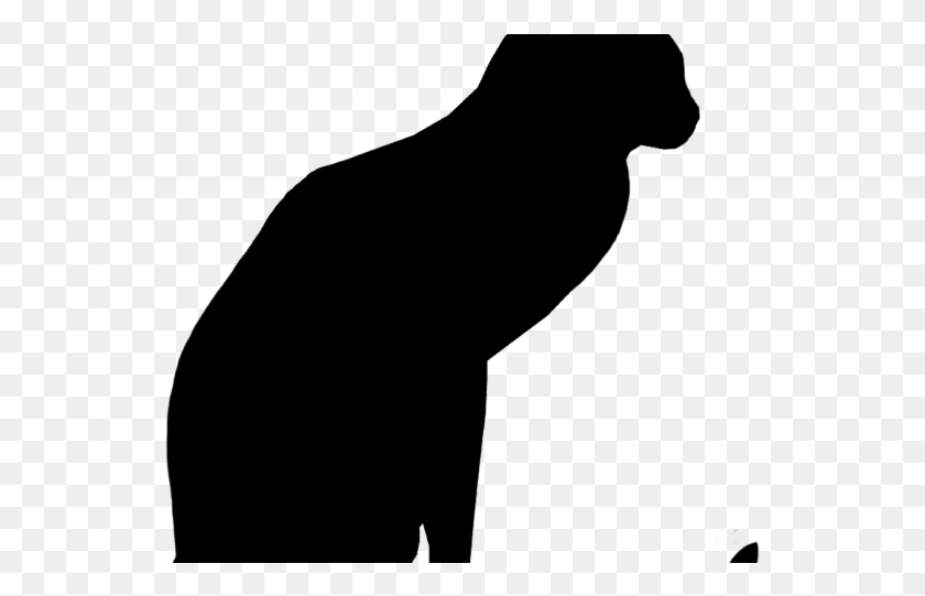 541x481 Drawn Black Cat Outline Silhouette, Back, Hand HD PNG Download