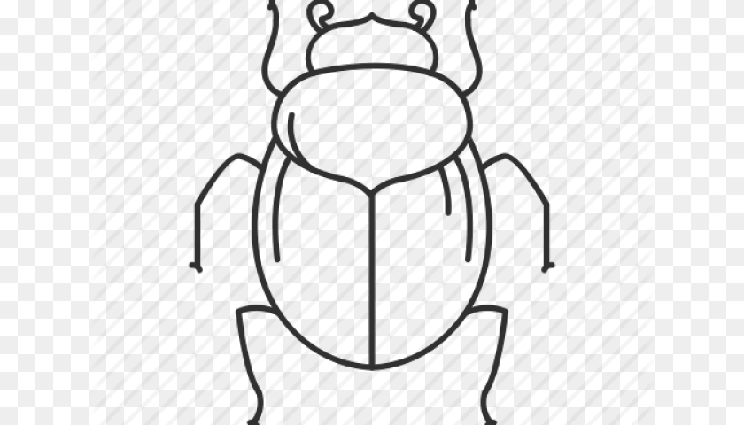 Drawn Bugs Dung Beetle, Electronics, Hardware, Bag PNG