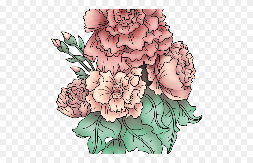509x481 Drawn Carnation Transparent Rose And Carnation Tattoo, Plant, Flower, Blossom HD PNG Download
