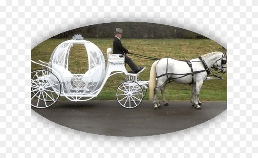 641x457 Drawn Carriage Transparent Chaise, Horse, Mammal, Animal HD PNG Download