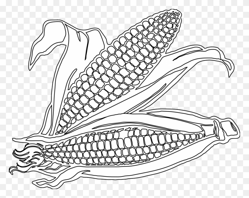 940x732 Drawn Corn Transparent Corn Drawing, Plant, Vegetable, Food HD PNG Download