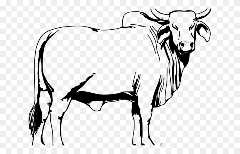640x480 Drawn Cow Vector Bull Colouring Pages, Gray, World Of Warcraft HD PNG Download