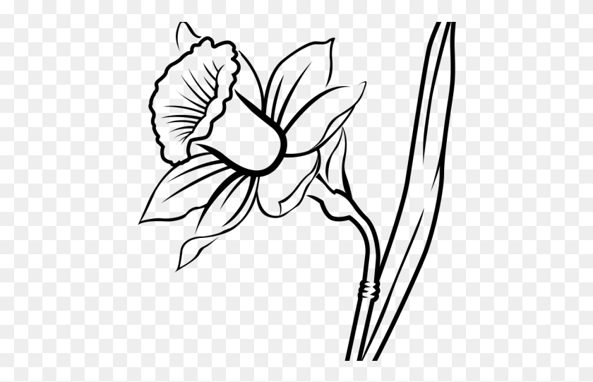 452x481 Drawn Daffodil Black And White Daffodils Line Drawing, Nature, Outdoors, Outer Space HD PNG Download