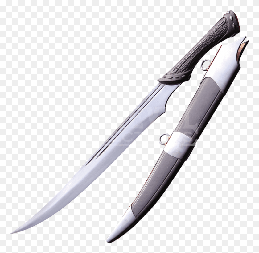 808x791 Drawn Dagger Combat Knife Raven Claw Fighting Knife, Blade, Weapon, Weaponry HD PNG Download