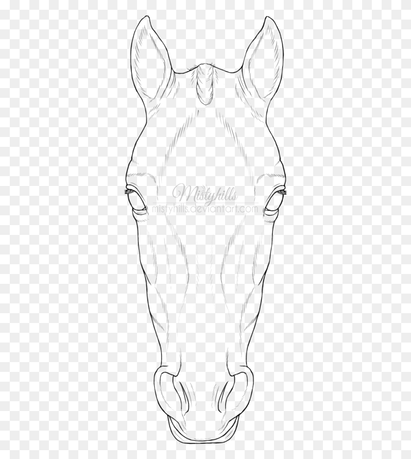 343x878 Drawn Face Horse Horse Head Front View Drawing, Text, Outdoors HD PNG Download