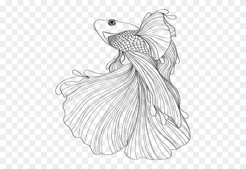 463x518 Drawn Fish Transparent Japanese Fighting Fish Drawing, Outdoors, Nature, Astronomy HD PNG Download
