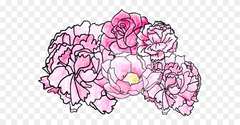 575x380 Drawn Flower Pink Sticker, Plant, Blossom, Carnation Descargar Hd Png