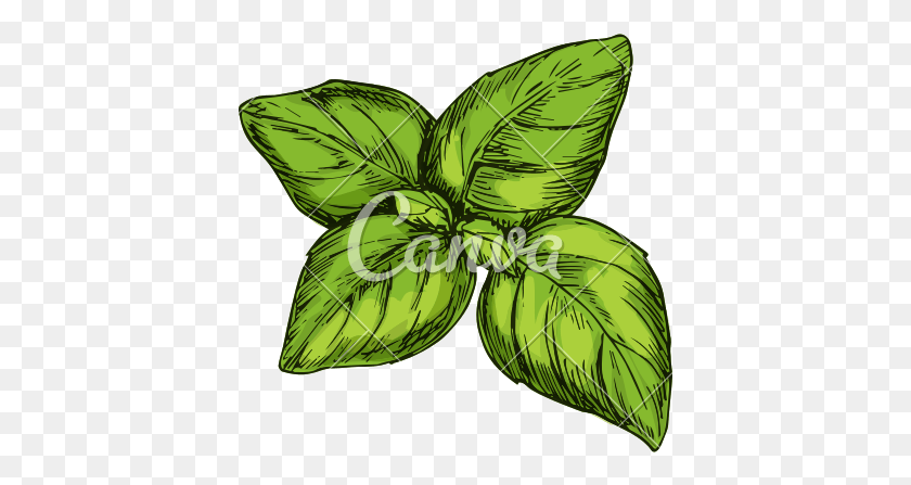 401x387 Drawn Foliage Leaf Icon Condiment, Plant, Green, Potted Plant HD PNG Download