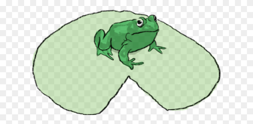 629x352 Drawn Frog El Coqui Toad, Amphibian, Wildlife, Animal HD PNG Download