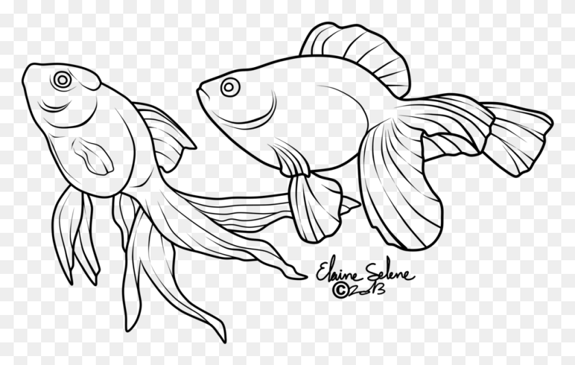 963x584 Нарисованная Золотая Рыбка Peces Koi Dibujo, Серый, Мир Варкрафта Png Скачать