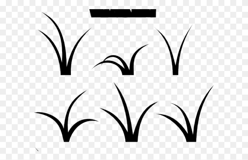 612x481 Drawn Grass Vector Cartoon Patch Of Grass Vector, Graphics, Stencil HD PNG Download