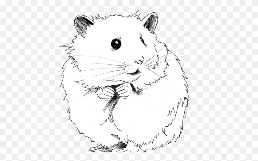 455x464 Drawn Hamster Gerbil Hamster Black And White Clipart, Rodent, Mammal, Animal HD PNG Download
