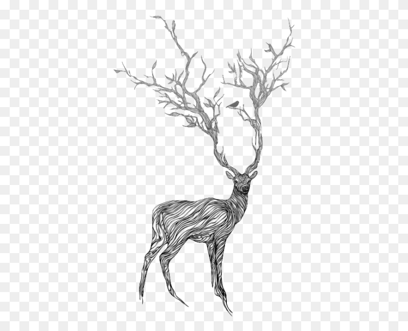 377x620 Drawn Horns Tumblr Drawing, Deer, Wildlife, Mammal HD PNG Download