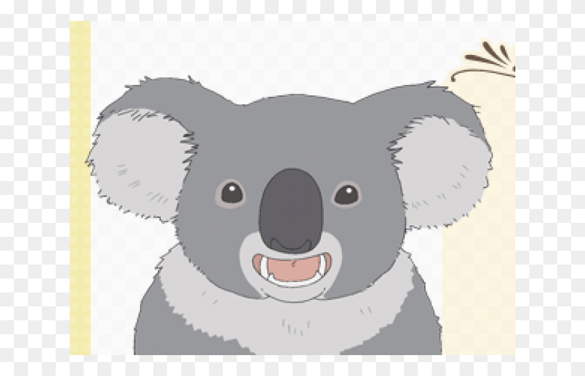 640x480 Drawn Koala Koala Habitat Koala, Mammal, Animal, Wildlife HD PNG Download