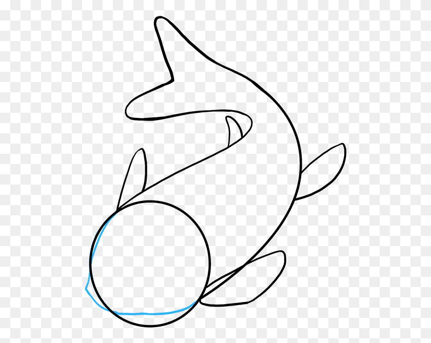 511x609 Drawn Koi Carp Color Koi Fish Drawing Easy, Outdoors, Nature, Night HD PNG Download