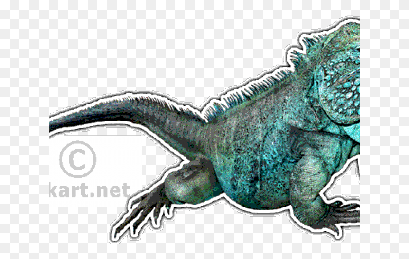641x473 Нарисованная Ящерица Игуана Игуана Большой Кайман Синий, Рептилия, Животное, Морская Жизнь Hd Png Скачать