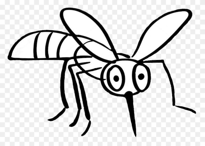 1330x916 Drawn Mosquito Monster Mosquito Line Art, Insect, Invertebrate, Animal HD PNG Download